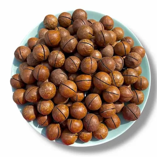 تصویر 1 از قیمت فندق ماکادمیا + خرید باور نکردنی